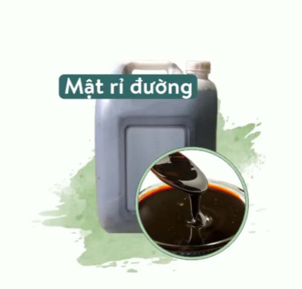 Mật rỉ đường nuôi cấy ủ vi sinh